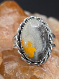 Bumblebee Jasper